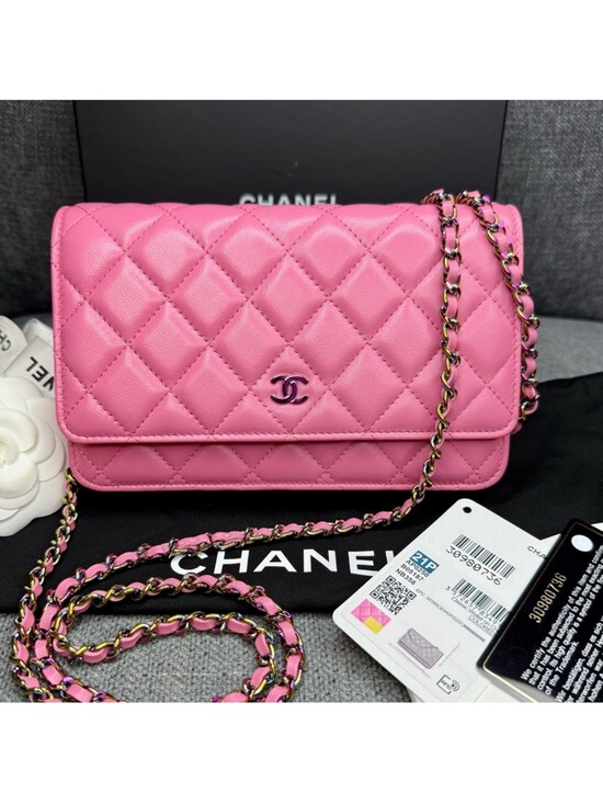 CHANEL Handbags - Chanel wallet on chain RAINBOW hardware RARE